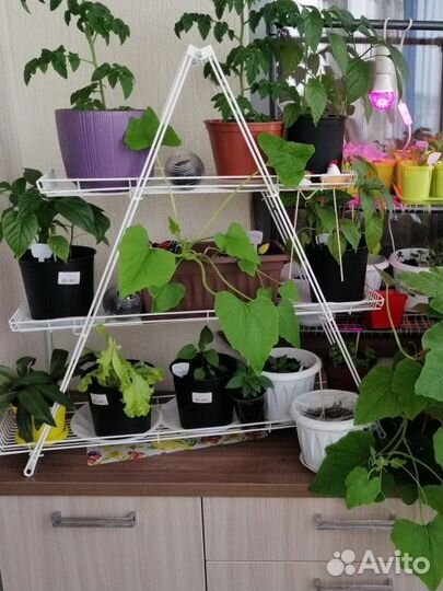 Полка стойка подставка для цветов рассады