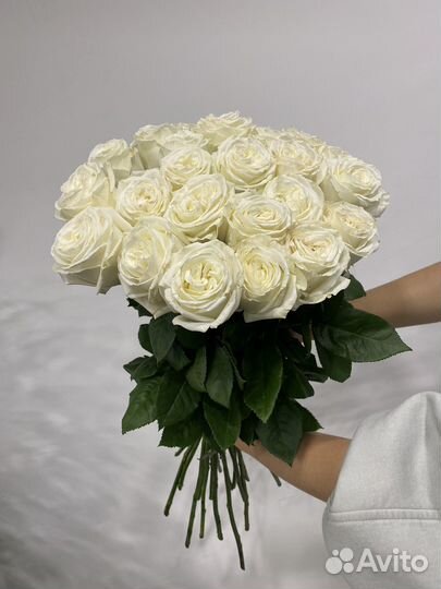 Букет белых роз сорта Плая Бланка