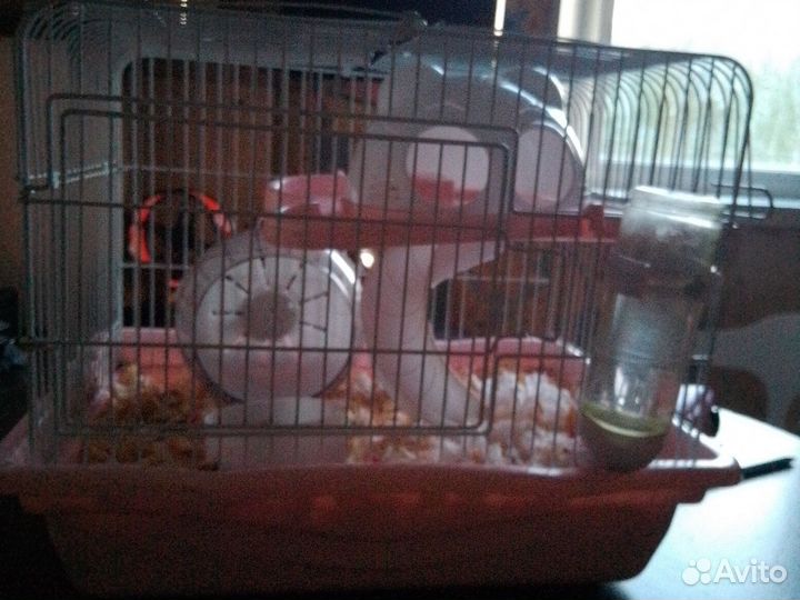 Клетка для хомяка