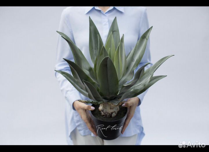 Искусственные растения для декора