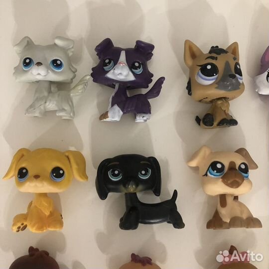 Littlest Pet Shop