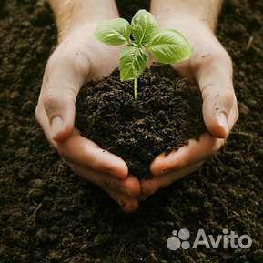 Чернозем в мешках