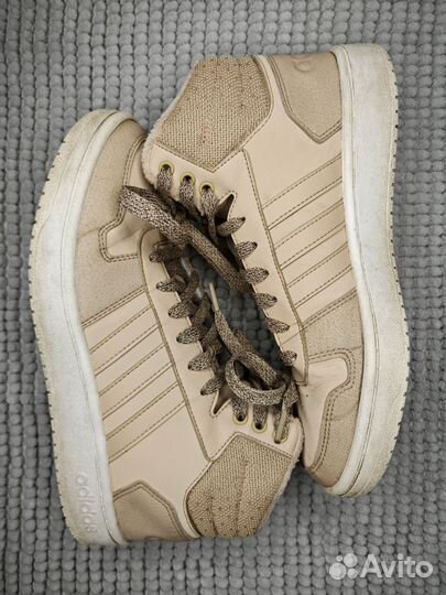 Adidas Hoops 2.0 Mid