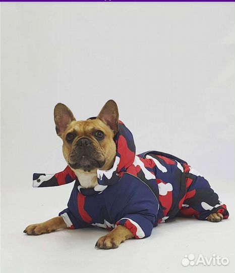 Комбинезон зимний для собак, порода мопс, бульдог