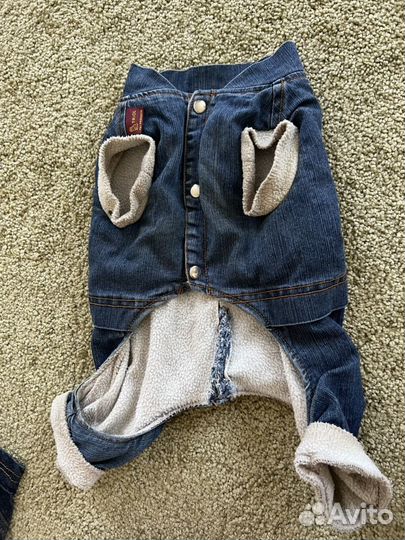 Джинсовый костюм для собак