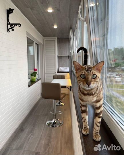 Остекление, отделка, утепление балконов и лоджий