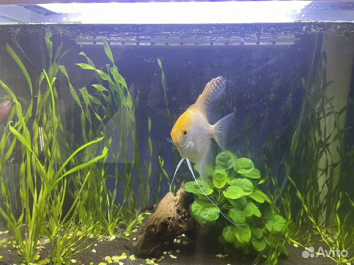 Аквариум с тумбой