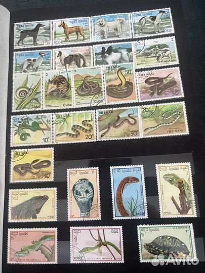 Марки почтовые. Животные