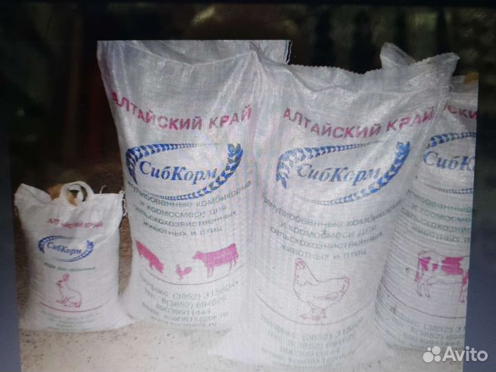 Комбикорм для кур несушек