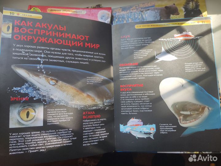 Детская энциклопедия