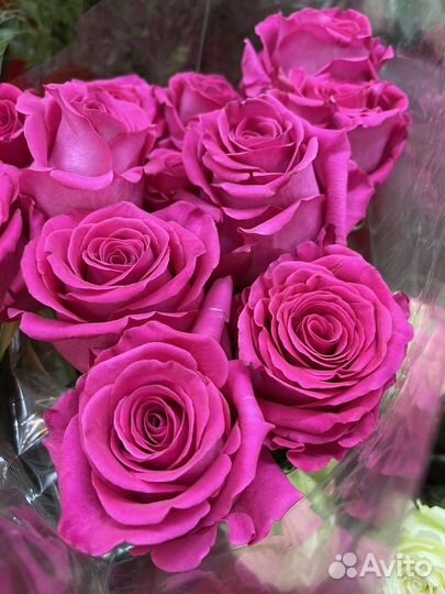 Цветы розы и букеты с доставкой