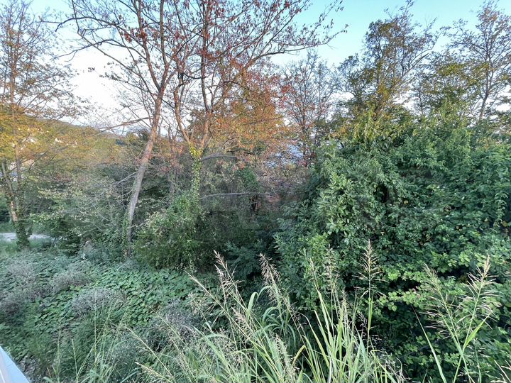 Участок 5 сот. (ИЖС)