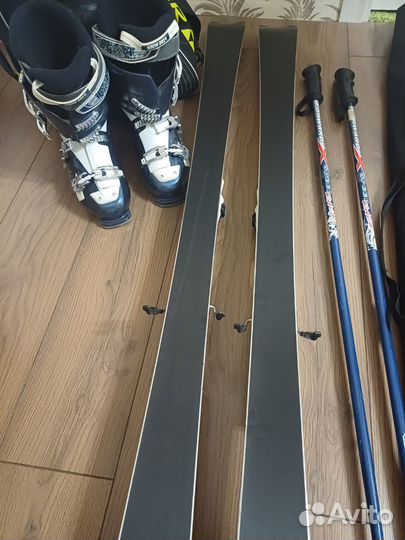 Горные лыжи