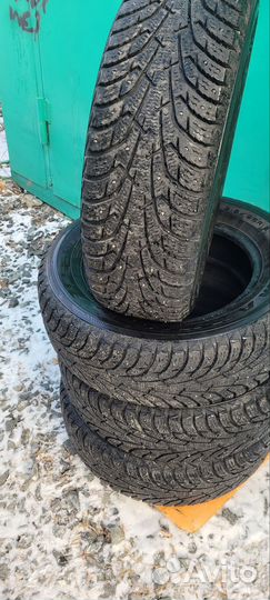 Maxxis Premitra Ice Nord NS5 (5 SUV) 2.25/7 R6.5 98