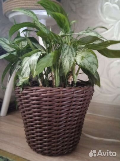 Кашпо из искусственного ротанга