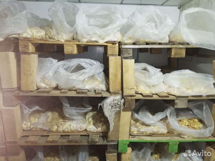 Замороженные суточные цыплята на корм животным