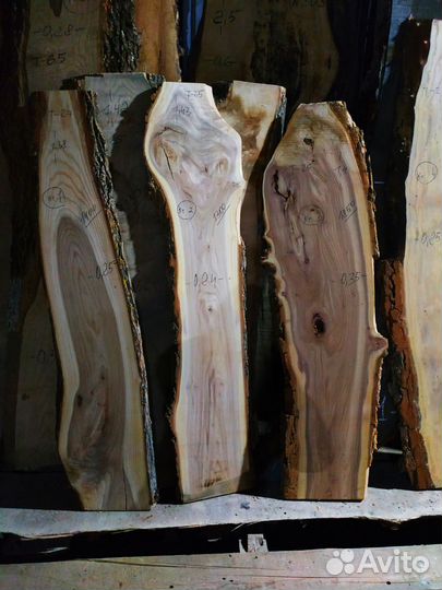 Слэб карагач