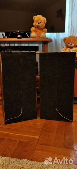 Акустическая система Вега 50 ас-106