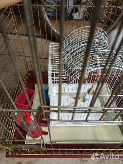 Клетка для попугаев