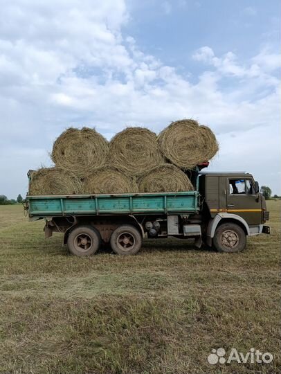 Земля плодородная
