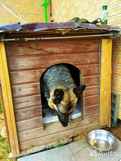 Будка для собаки утепленная