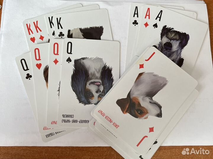 Карты игральные с собачками из лакомств