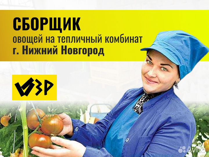 Сборщик овощей. Вахта г. Нижний Новгород