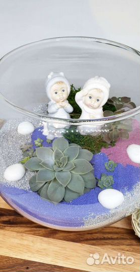 Композиция из настоящих растений