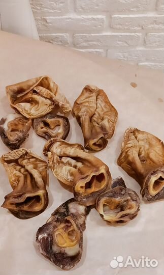 Сушеные лакомства для собак