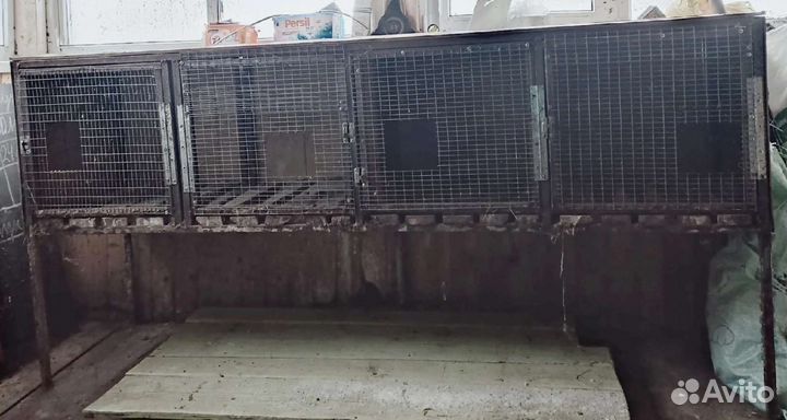 Клетка для животных бу