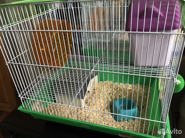 Клетка для сирийского хомяка