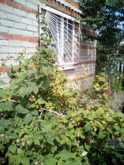 Дача 50 м² на участке 4 сот.