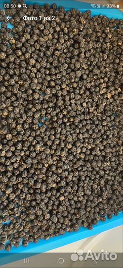 Амурский бархат ягоды