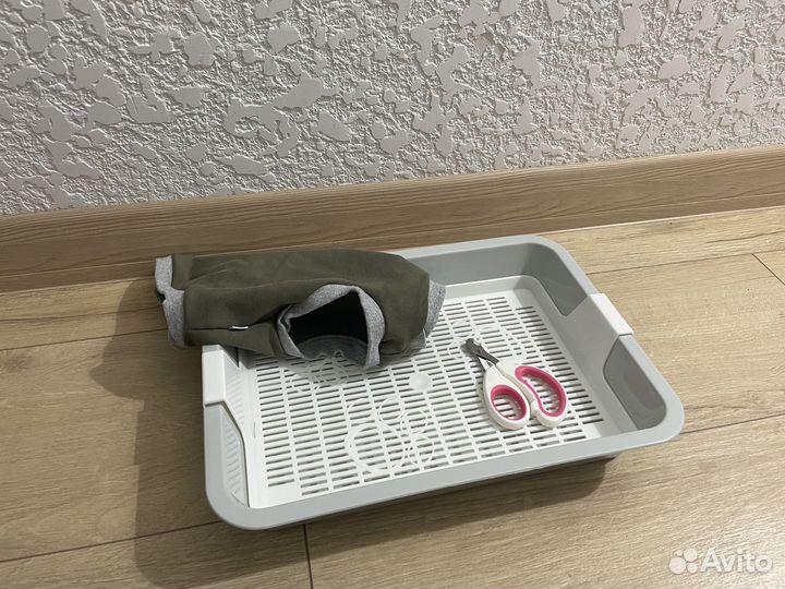 Лоток для котят