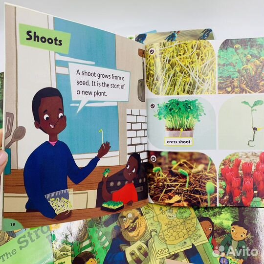 Oxford Explore книги на английском языке озвучка