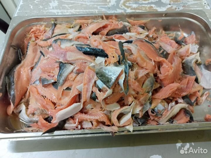 Хлеб и рыба горбуша на корм животным