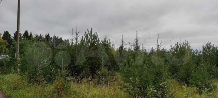 Участок 7 сот. (СНТ, ДНП)
