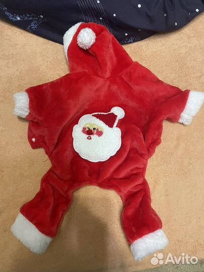 Одежда для маленьких собак