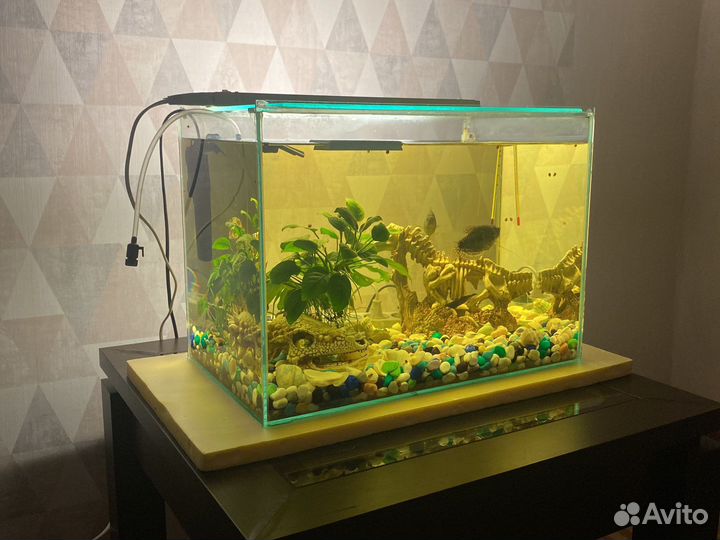 Аквариум
