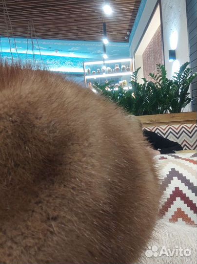 Берет норка