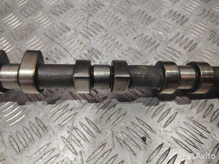 Распредвал выпускной Opel Vectra B X18XE