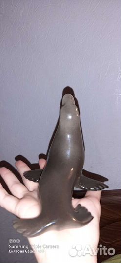 Тюлень фарфор