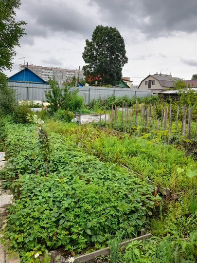 Дом 62 м² на участке 7 сот.