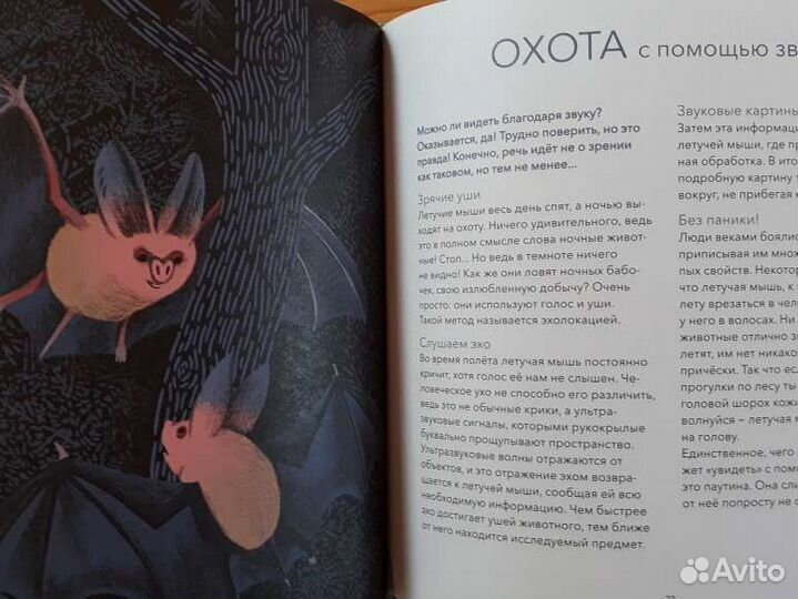 О чем болтают животные Флер Доджей