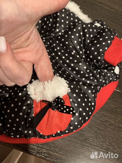 Курточка на маленькую собачку