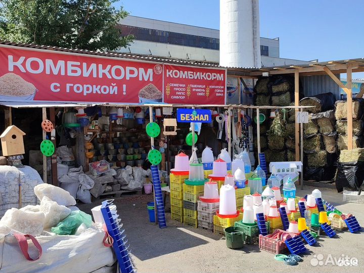 Большой выбор бобовых, зерновых, масличных культур