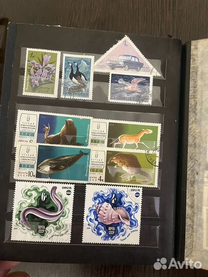 Коллекция марок с альбомом