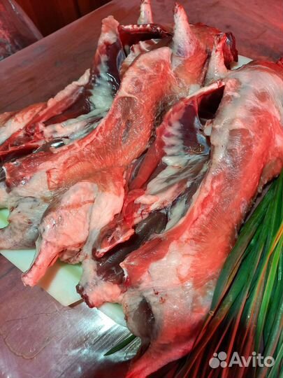 Нутрия,мясо