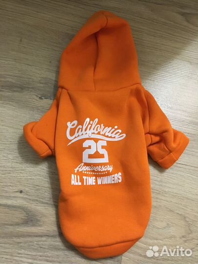 Одежда для маленьких собак