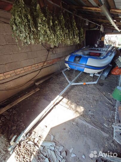 Моторная лодка с прицепом